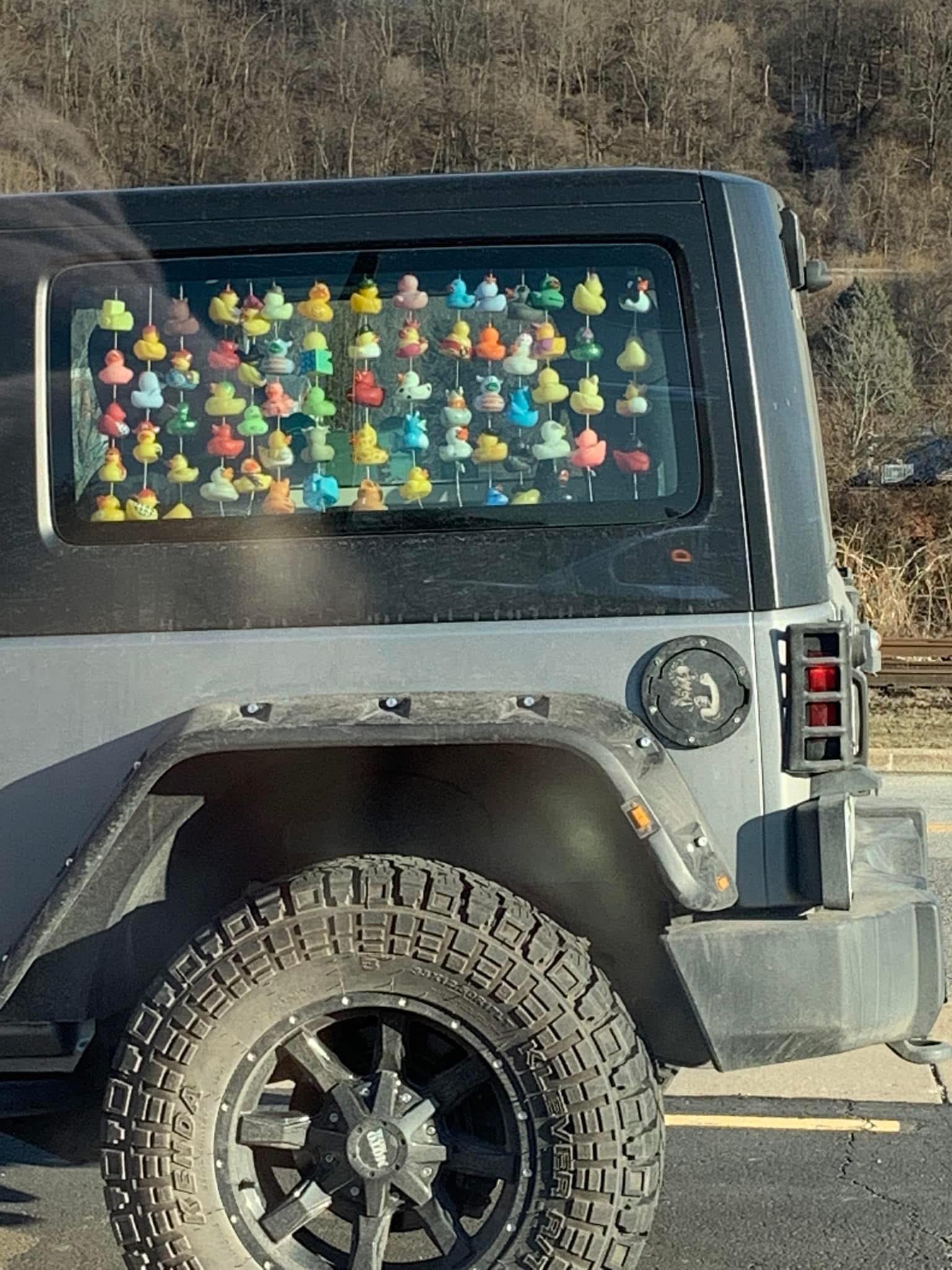 What Do Ducks On Jeep Dash Mean? Surprising Trend Explained