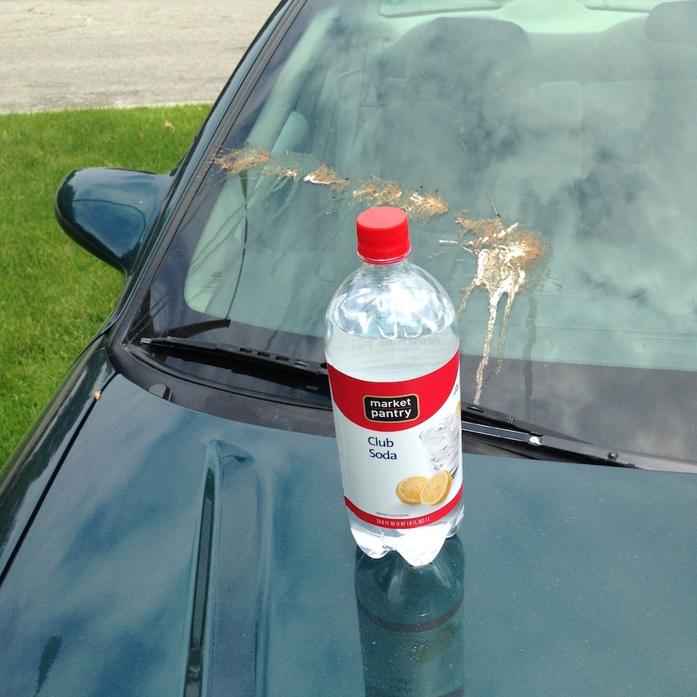 How To Clean Bird Poop Off Windshield: Quick and Easy Solutions