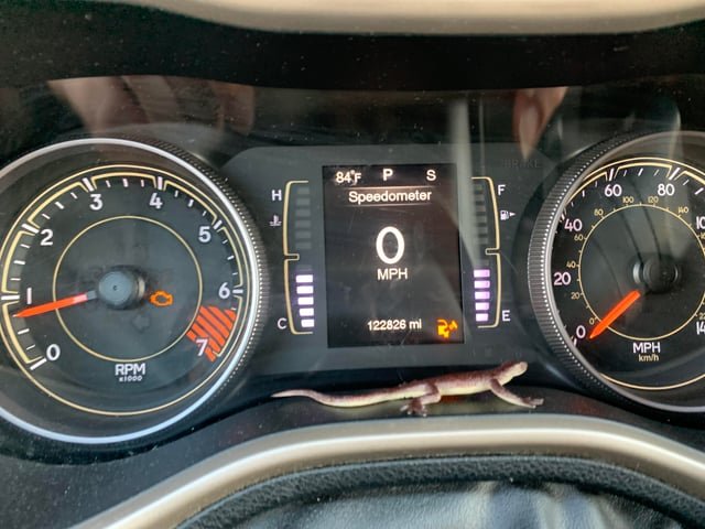 How To Turn Off 2014 Jeep Cherokee Fuel Cap Light Easily