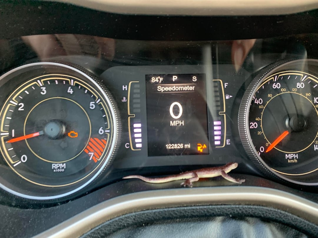2015 Jeep Cherokee Gas Cap Light: Quick Fixes & Expert Tips
