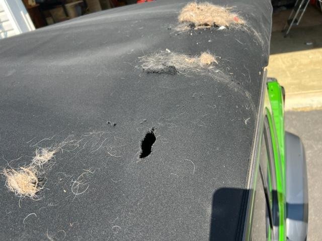 How To Patch Jeep Soft Top: Easy DIY Repair Guide
