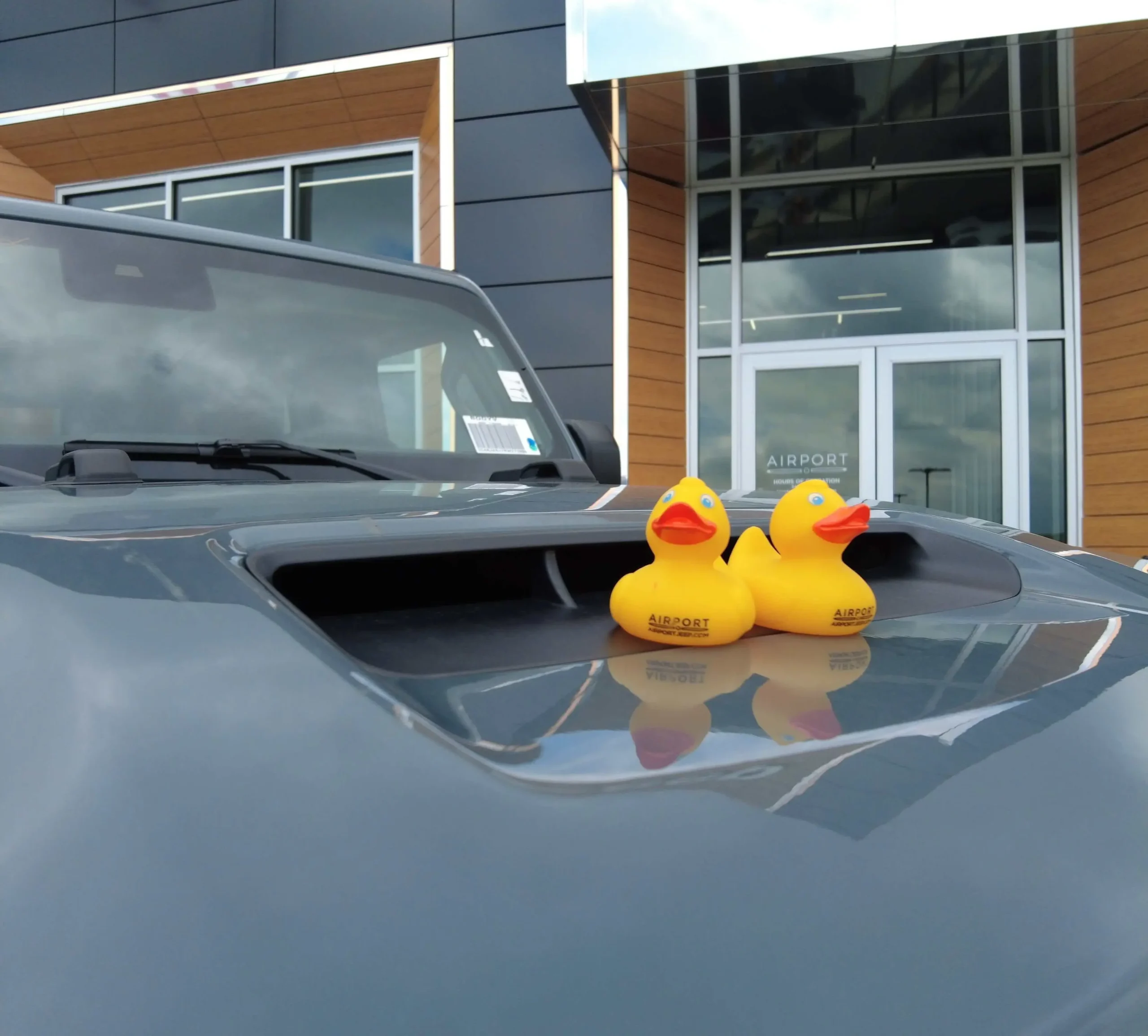 Why Do People With Jeeps Have Rubber Ducks? Surprising Reasons Why Do People Leave Rubber Ducks On Jeeps? The Surprising Trend