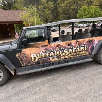Buffalo Safari Jeep Tours Reviews: Unforgettable Wildlife Adventures