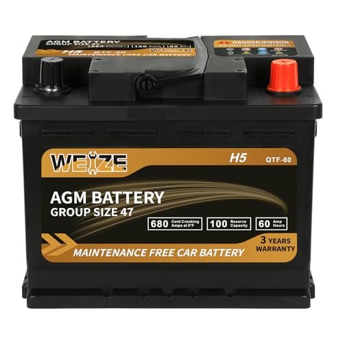 Weize Platinum AGM Battery Group 47