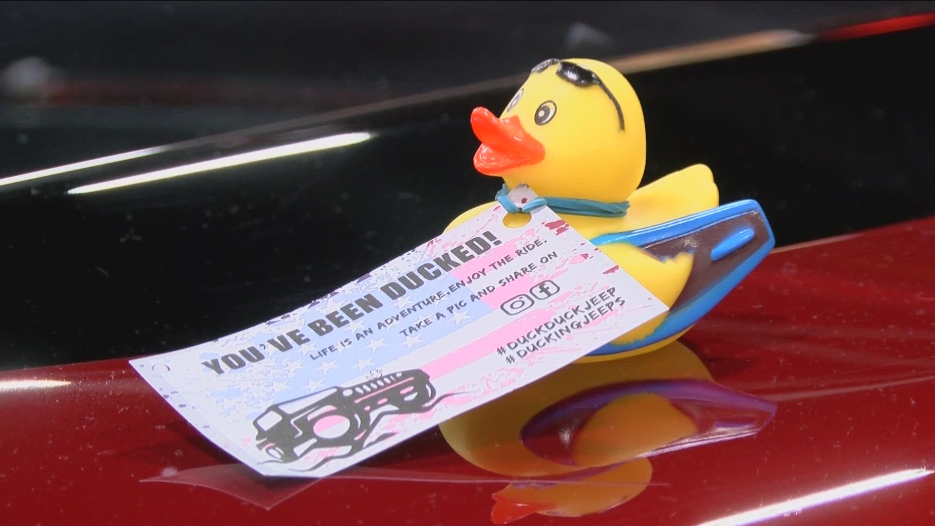Why Are Rubber Ducks Associated With Jeeps? The Surprising Trend Why Are Rubber Ducks Associated With Jeeps? The Surprising Trend