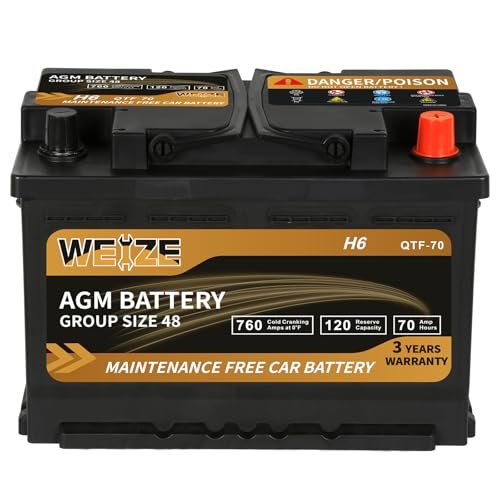 Weize Platinum AGM Battery Group 48