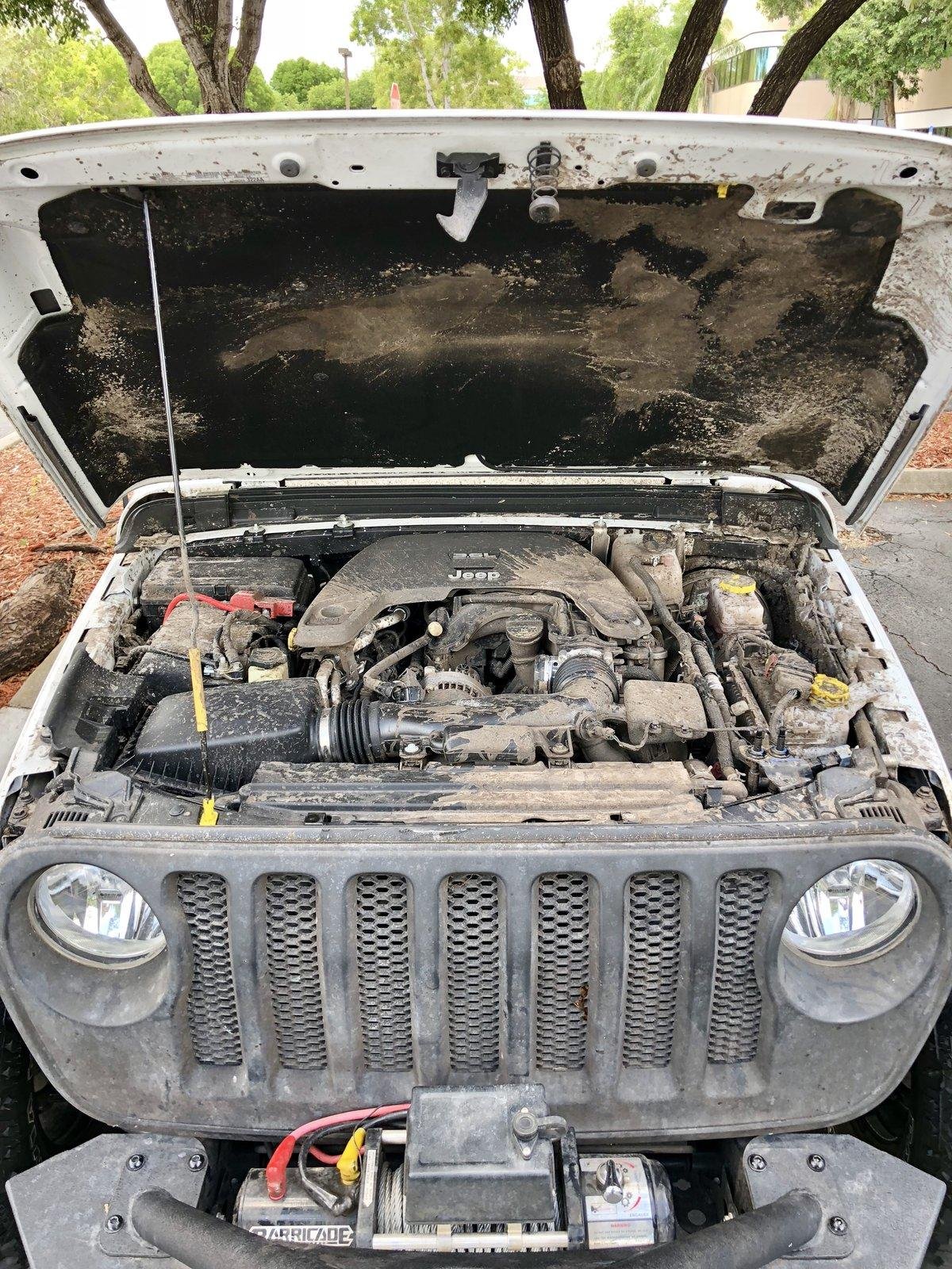How To Clean Jeep Engine: Easy Steps for a Spotless Motor