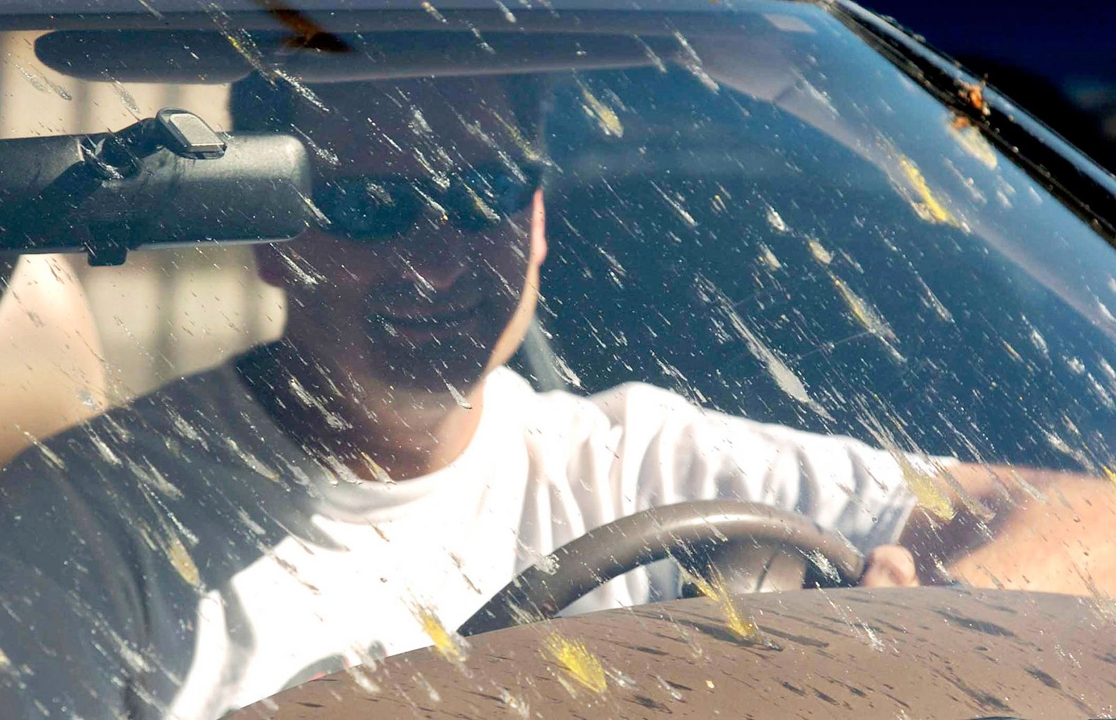 How To Clean Bugs Off A Windshield: Quick and Easy Methods How To Clean Bugs Off A Windshield: Quick and Easy Methods