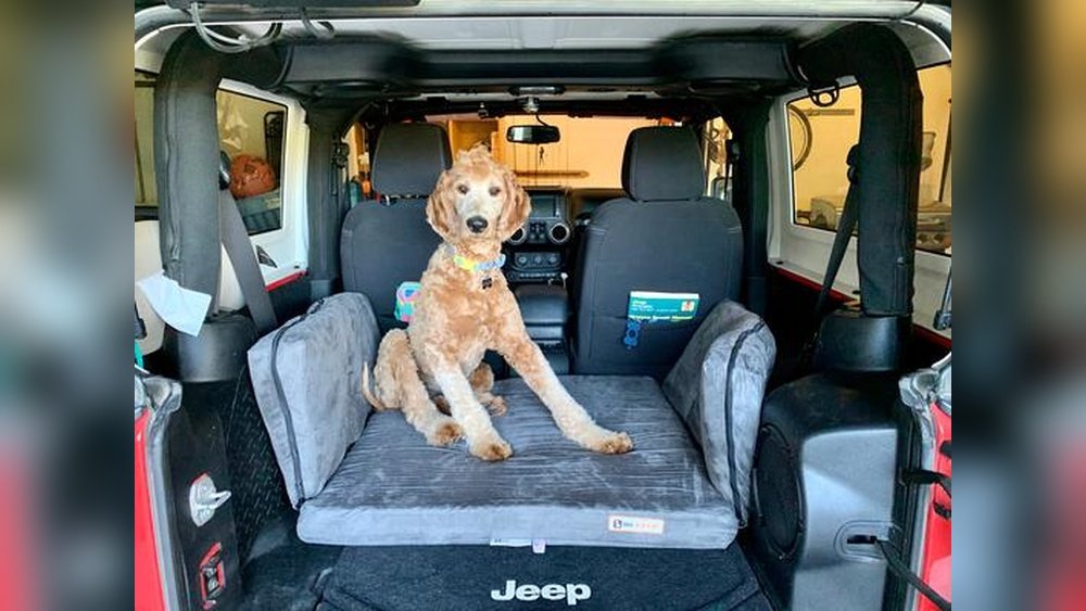 dog bed for jeep wrangler