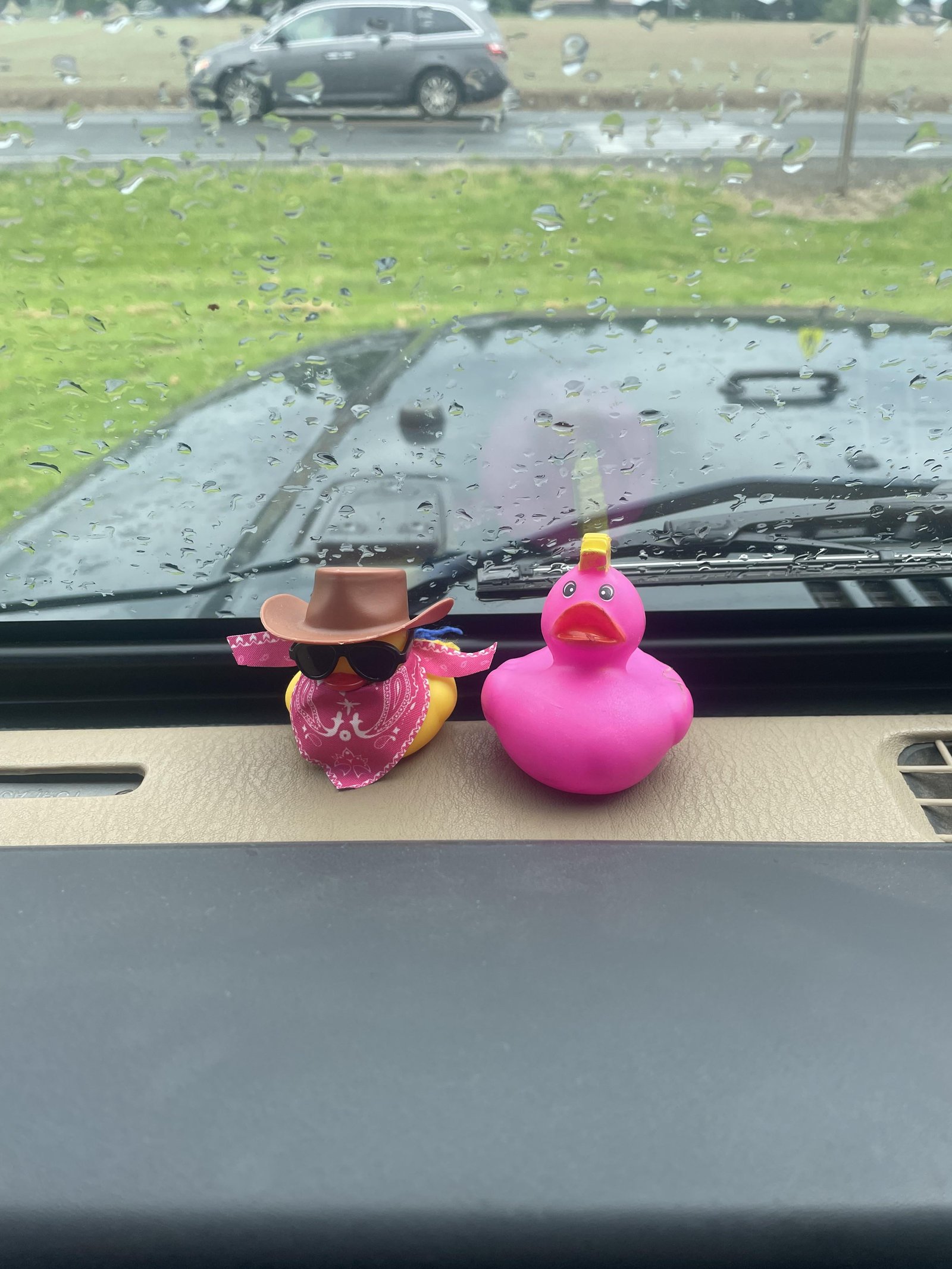 How To Keep Ducks From Sliding In Jeep: Easy Tips That Work How To Keep Ducks From Sliding In Jeep: Easy Tips That Work