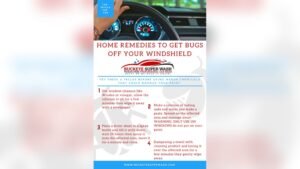How To Clean Bugs Off A Windshield Fast & Effectively