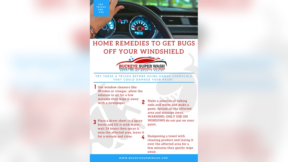 how to clean bugs off a windshield