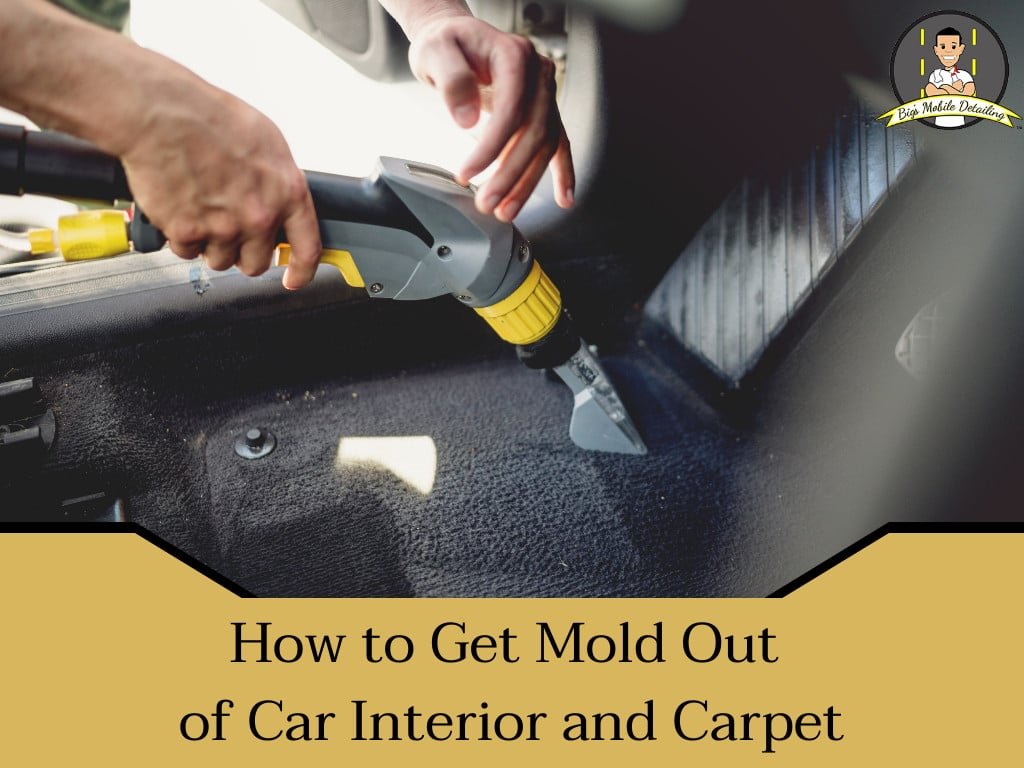 How To Clean Mold Out Of A Car: Step-By-Step Guide