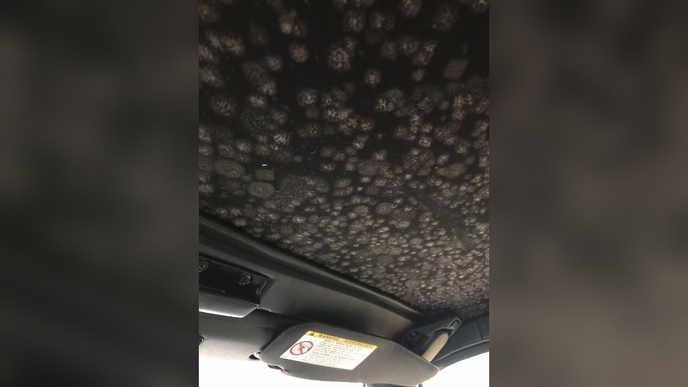 How To Remove Mold From Jeep Soft Top: Easy DIY Solutions how to remove mold from jeep soft top