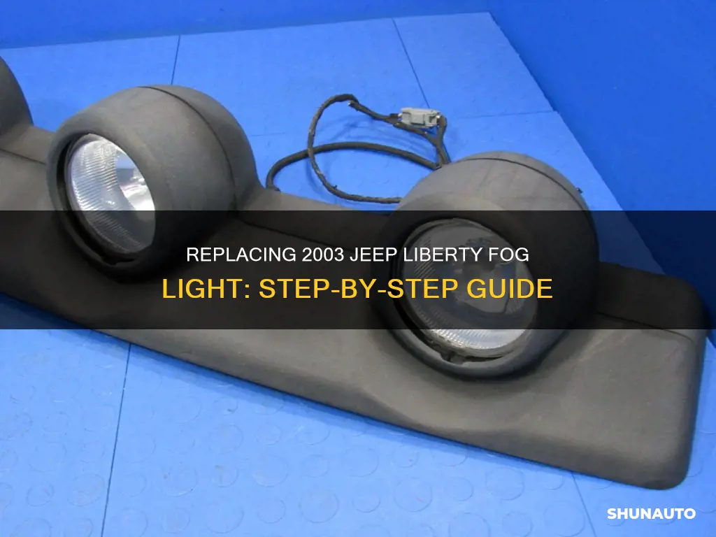 How To Replace 2003 Jeep Liberty Right Fog Light Easily
