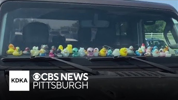 Why Do Jeep Owners Put Ducks On Their Dashboard? Explained