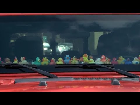 Why Do People Put Toys On Jeep Dash? The Surprising Trend Explained