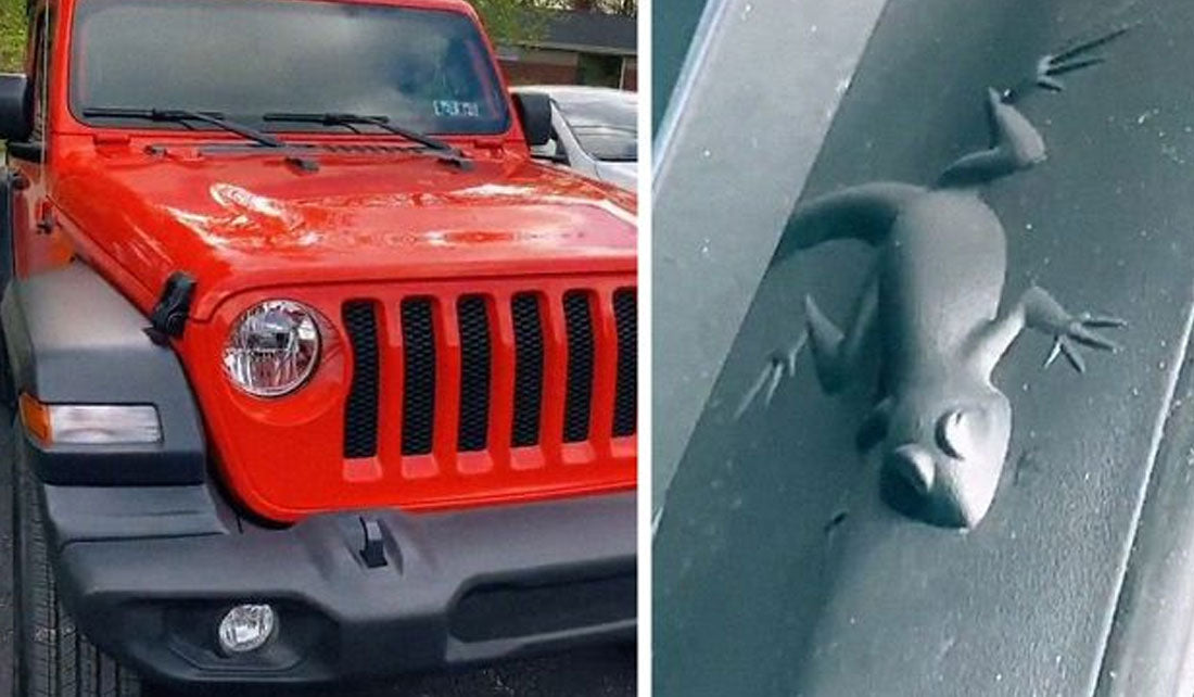 What Year Jeep Wranglers Have Easter Eggs: A Complete Guide