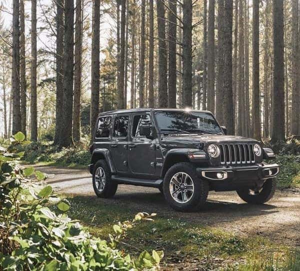 How Safe are Jeeps: A Beginner's Guide