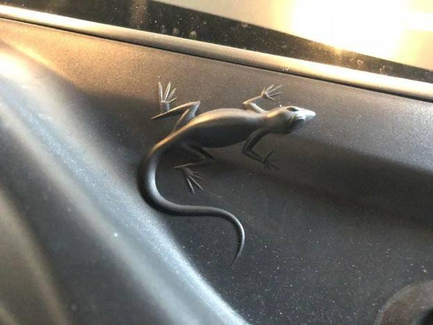 Why Is There A Lizard On My Jeep? Surprising Reasons Explained