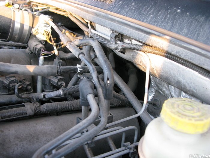 Jeep P0442: Quick Fixes to Solve Your EVAP Leak Code