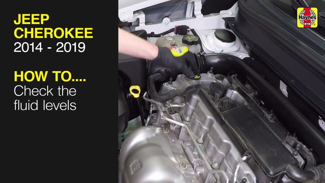 2018 Jeep Grand Cherokee Transmission Dipstick Location 2018 Jeep Grand Cherokee Transmission Dipstick Location