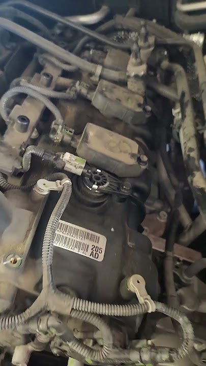 P105D Jeep: Ultimate Off-Road Power and Performance Guide