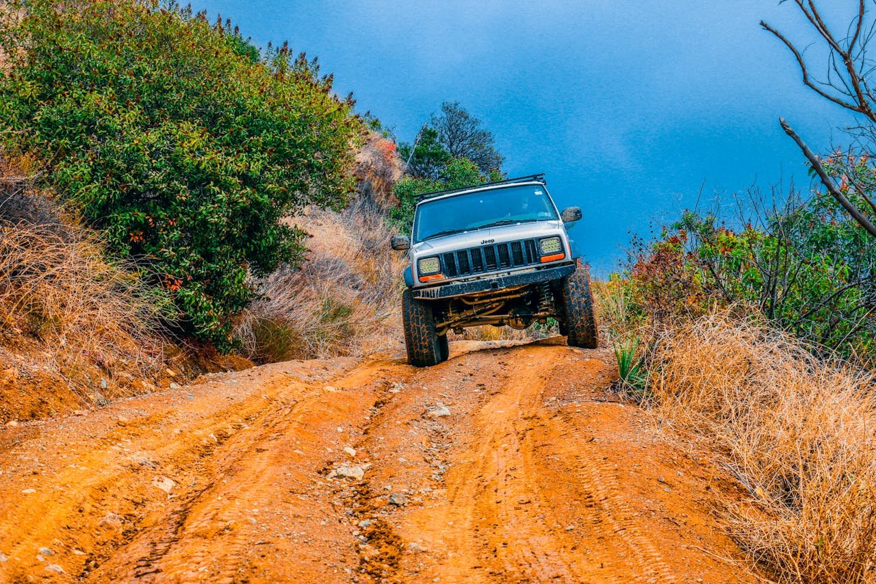 How To Get Mildew Smell Out Of Jeep: Fast & Easy Solutions How To Get Mildew Smell Out Of Jeep: Fast & Easy Solutions