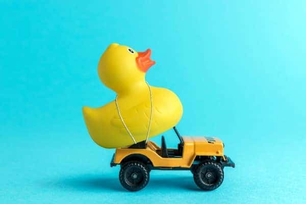 Why Put Ducks On Jeeps: The Surprising Trend Explained