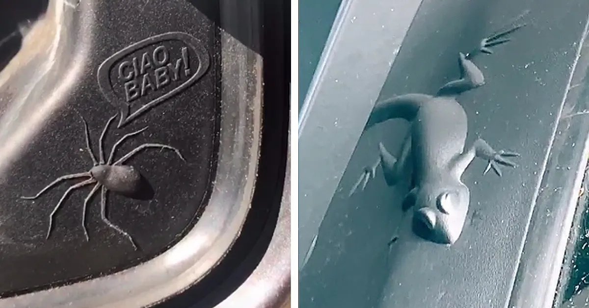 How To Find The Animal On Your Jeep: Quick Guide for Owners
