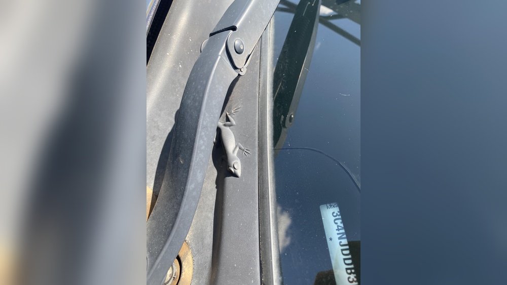 Where Is The Lizard On A Jeep Wrangler? Find Out Now!
