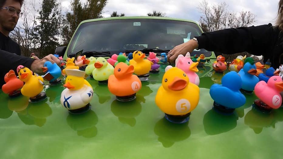 How To Keep Jeep Ducks In Place: Easy Tips for Lasting Display