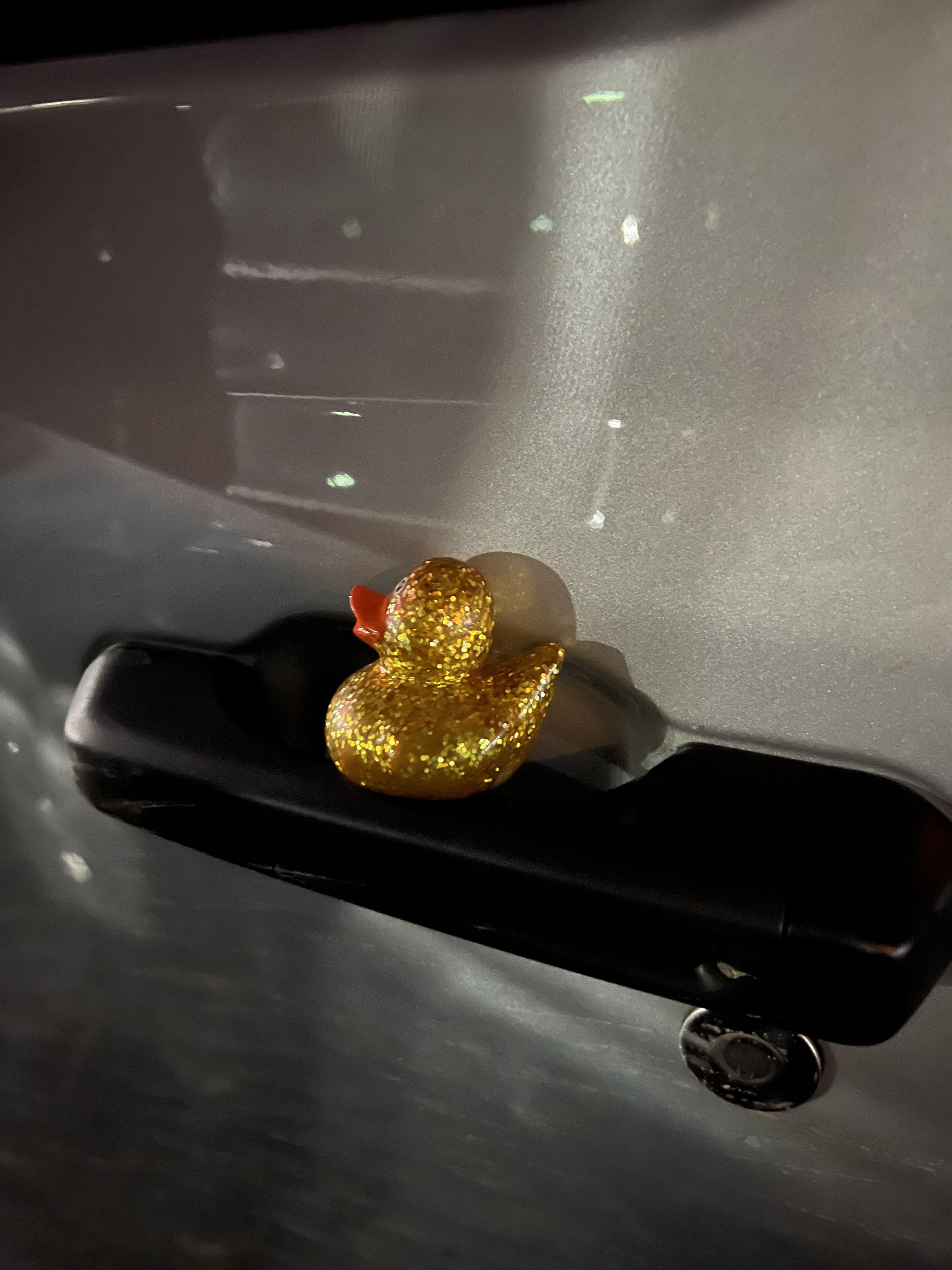 Can You Duck Any Jeep? The Surprising Truth Revealed